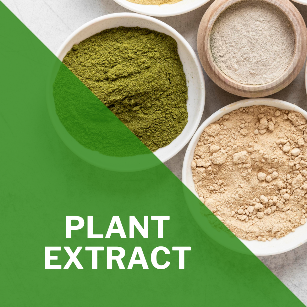 plant extract powder