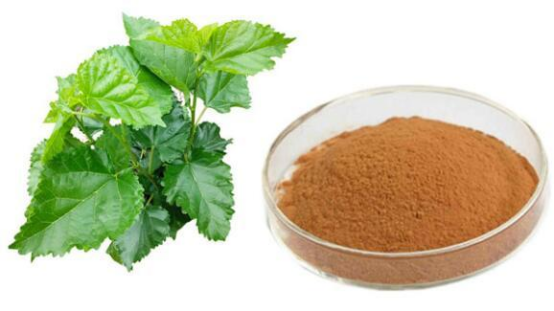 Mulberry Leaf Extract